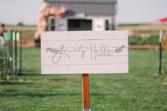 Cut Flower Care Tips: How to Make Your Blooms Last Longer