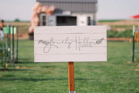 Cut Flower Care Tips: How to Make Your Blooms Last Longer