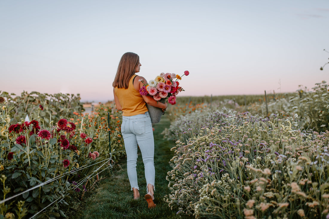 Notes With Nikki - July 2025