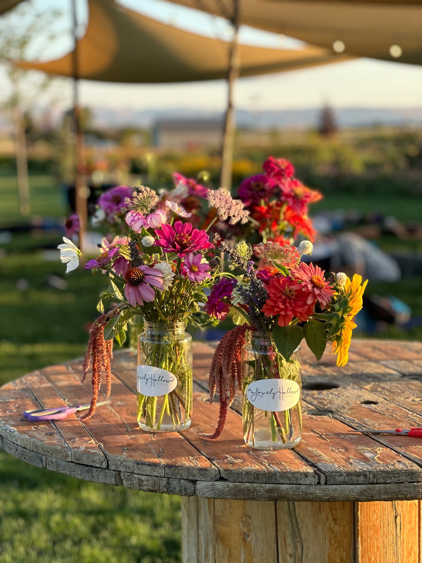 10/11 Yoga On The Farm 5-6p